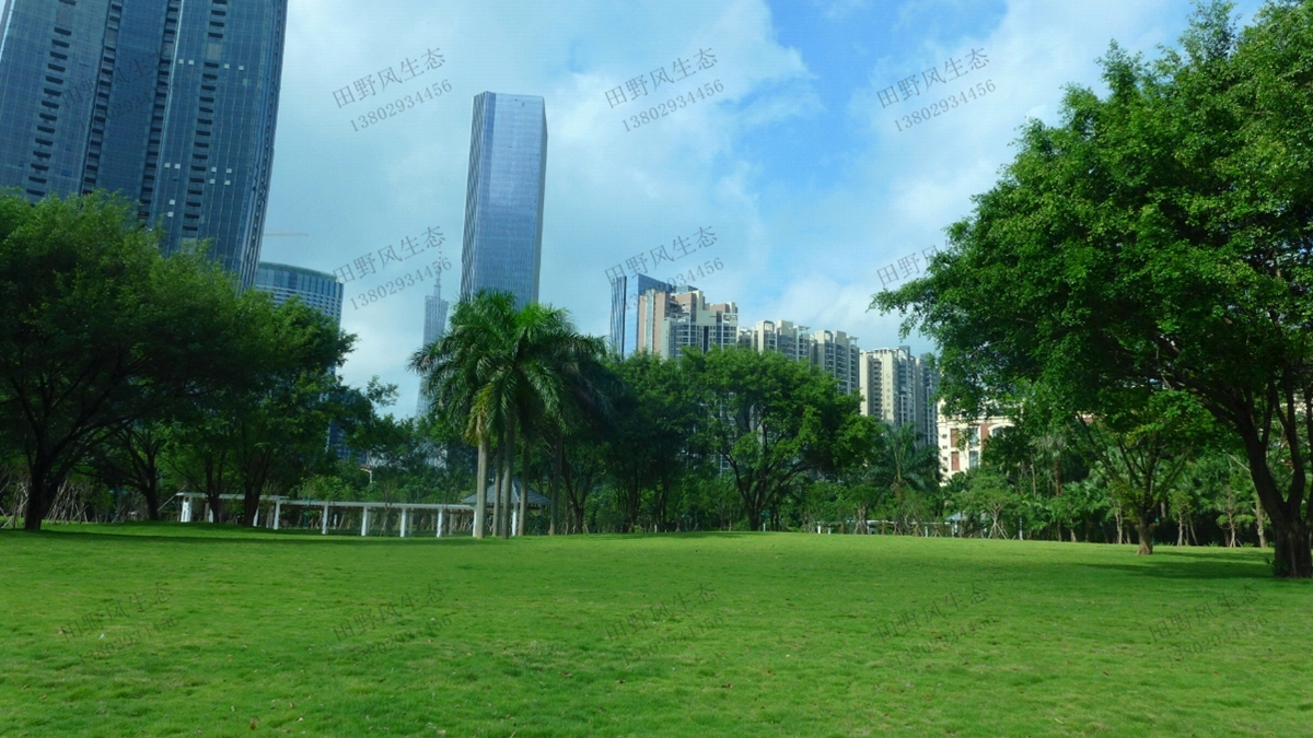 最詳細的草坪草種種植方法，你學會了嗎？