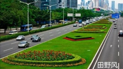 進(jìn)入冬季，連云港進(jìn)行園林綠化養(yǎng)護(hù)管理