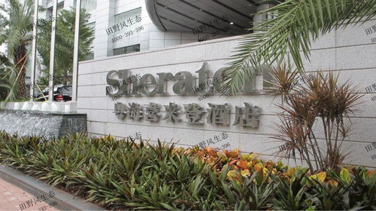 廣州喜來登酒店花卉綠植租擺案例 廣州喜來登酒店花卉綠植租擺案例