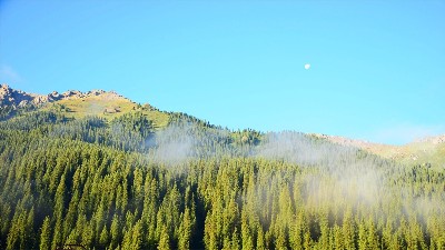 礦山復綠到底是什么？附10種主要復綠技術方法