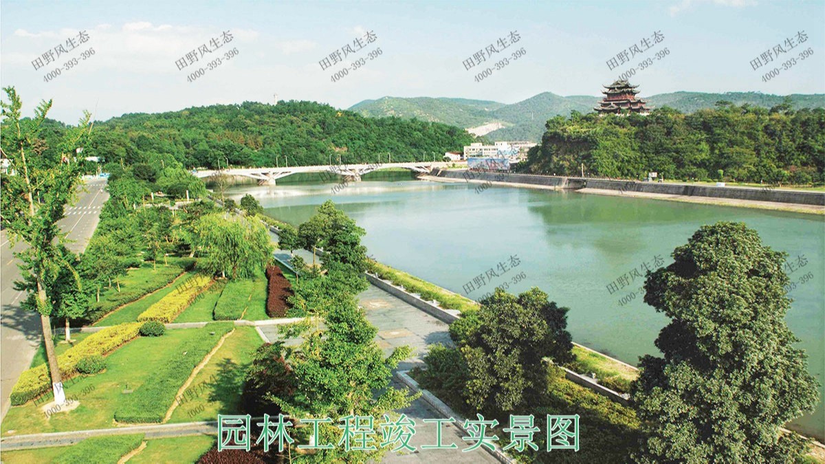 廣東珠海橫琴島市政園林工程 廣東珠海橫琴島市政園林工程