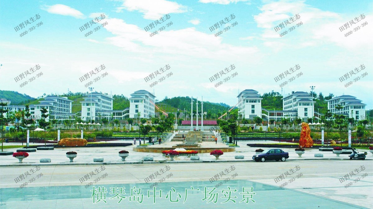 廣東珠海橫琴島市政園林工程 廣東珠海橫琴島市政園林工程