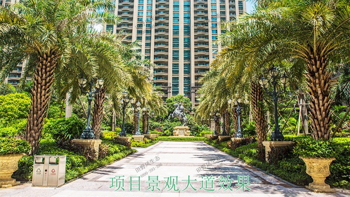 廣東惠州富力地產(chǎn)園林景觀工程 廣東惠州富力地產(chǎn)園林景觀工程