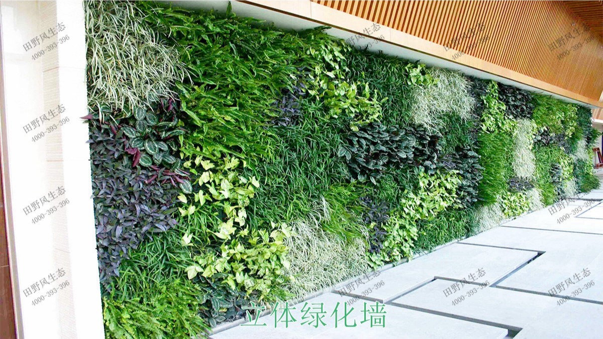 立體綠化更多案例 立體綠化更多案例