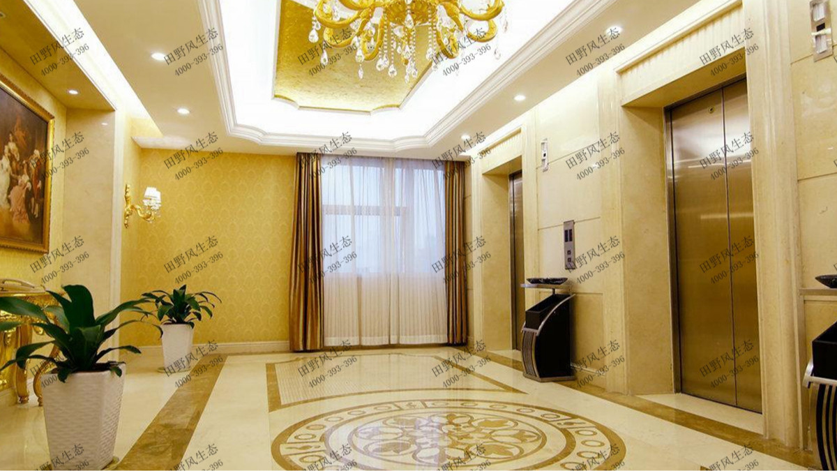 廣州維也納酒店植物花卉租擺案例 廣州維也納酒店植物花卉租擺案例