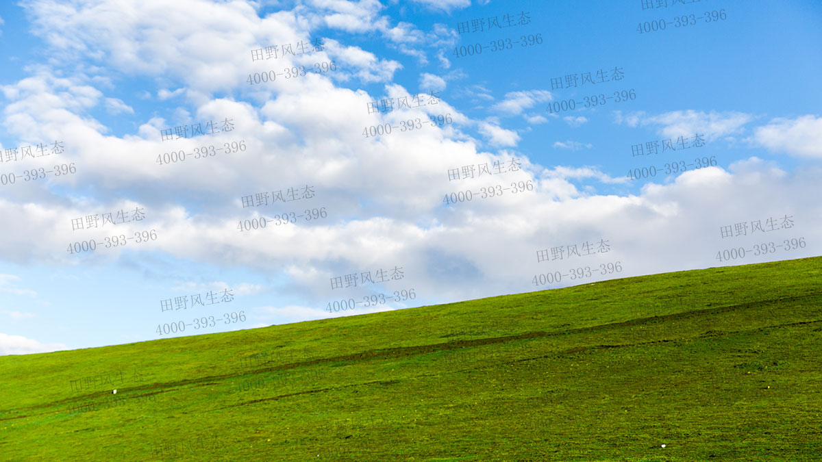 護(hù)坡草籽什么時候播種出牙快