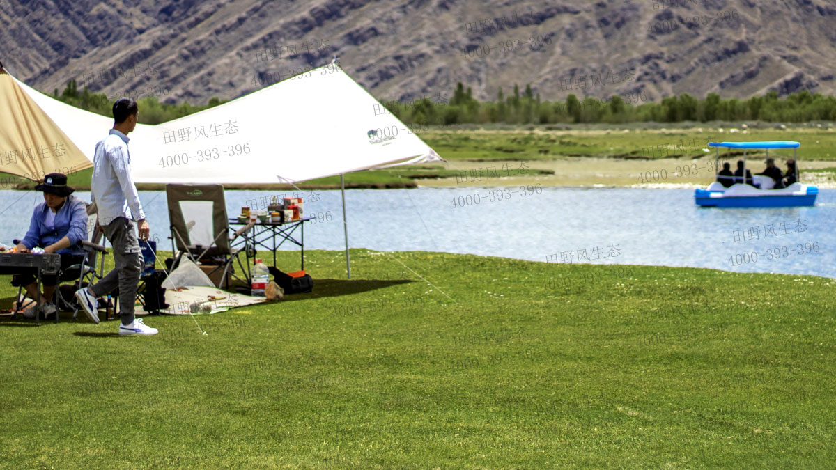 四季青種子 四季青種子