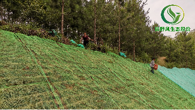 邊坡綠化對(duì)植物的選擇原則是什么？