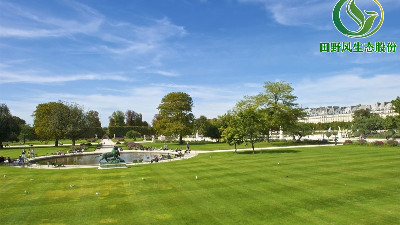 園林綠化草種有哪些種類？