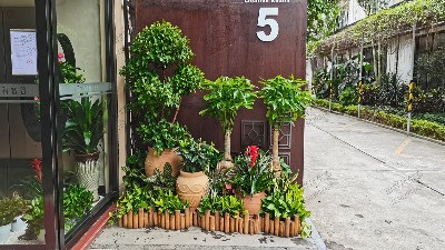 廣州盈科智谷植物租擺 廣州盈科智谷植物租擺