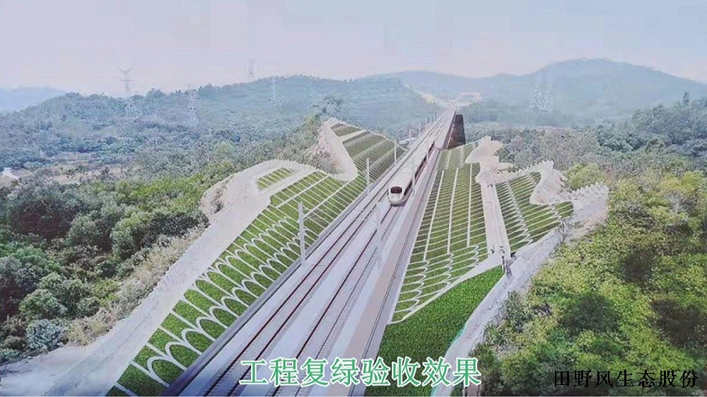 廣汕高鐵邊坡復(fù)綠效果 廣汕高鐵邊坡復(fù)綠效果