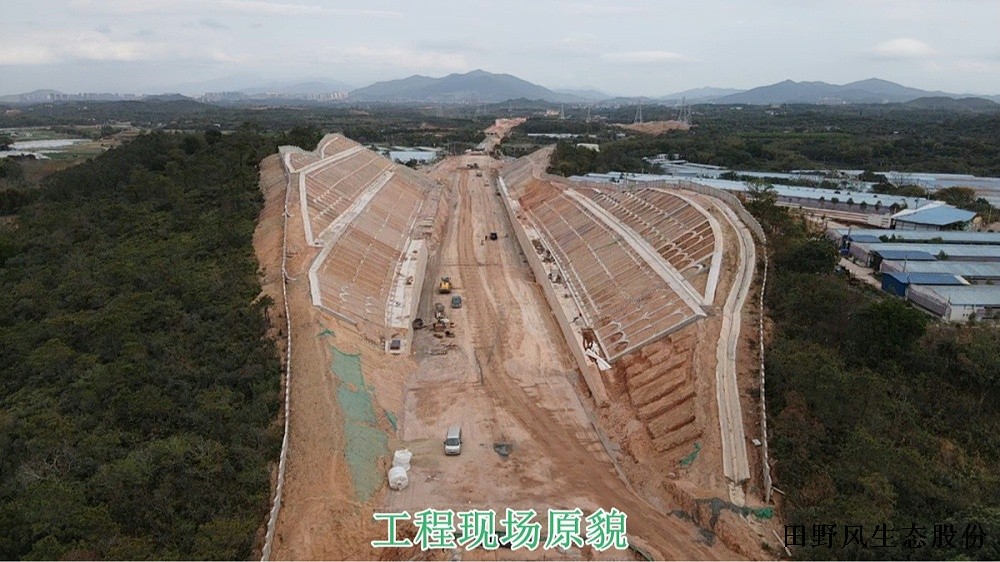 廣汕高鐵復(fù)綠工程 廣汕高鐵復(fù)綠工程