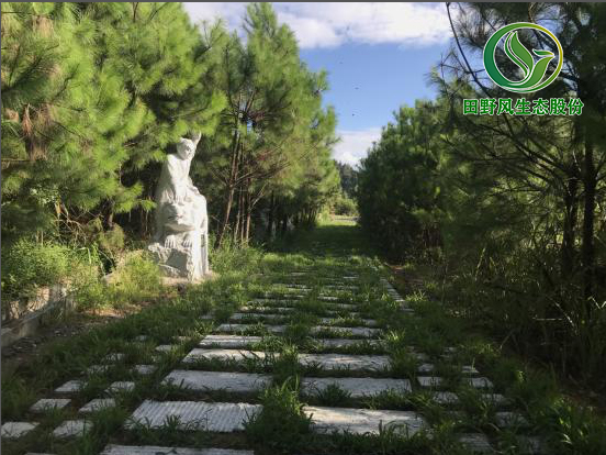 礦山修復(fù)，生態(tài)恢復(fù)