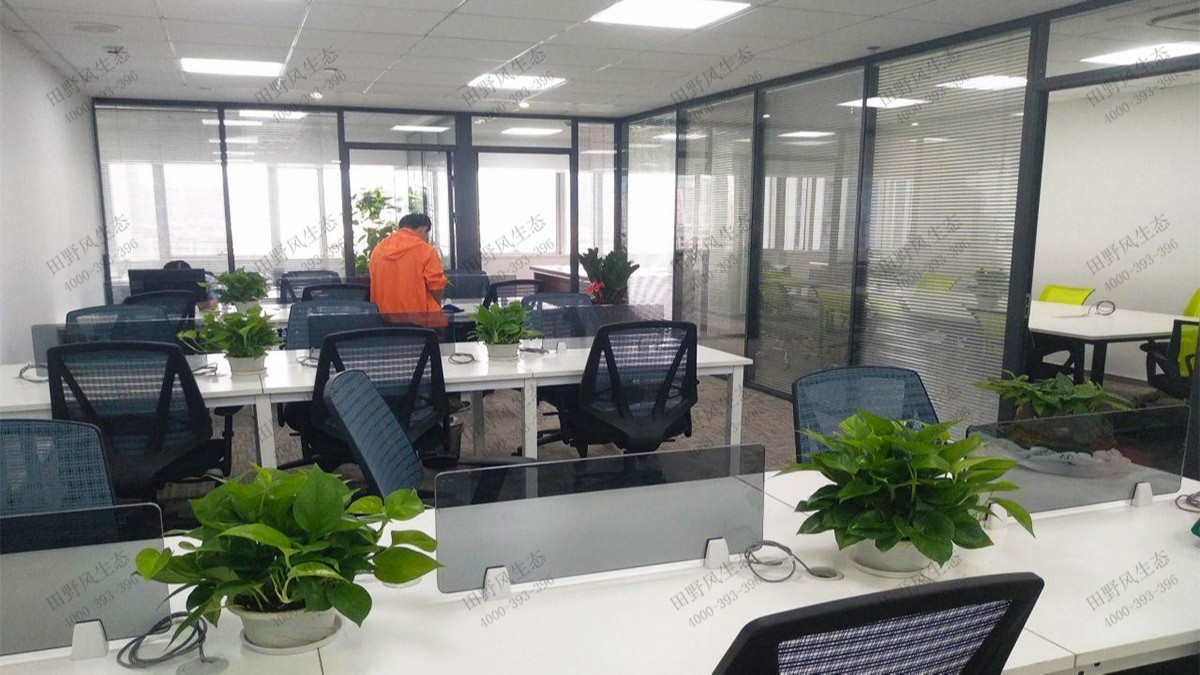 廣州國(guó)際電子大廈綠植出租案例 廣州國(guó)際電子大廈綠植出租案例