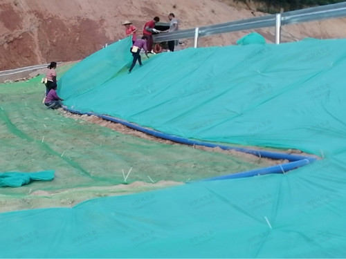 邊坡綠化 邊坡綠化