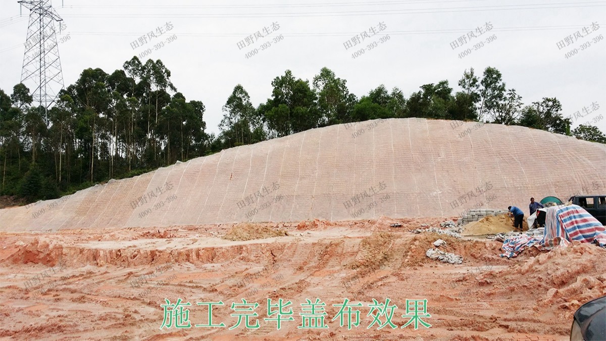 贛深鐵路廣東段鐵路邊坡綠化工程