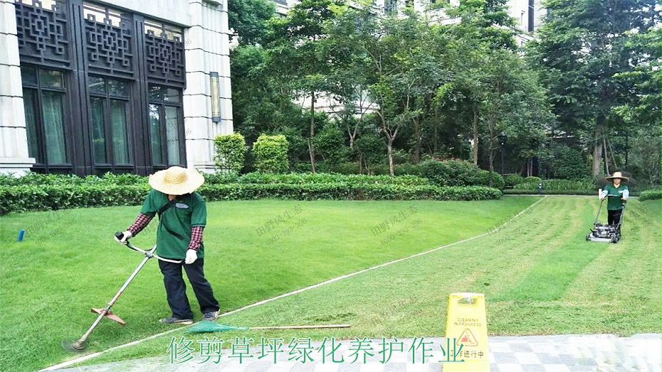 2修剪草坪綠化養(yǎng)護作業(yè) 2修剪草坪綠化養(yǎng)護作業(yè)
