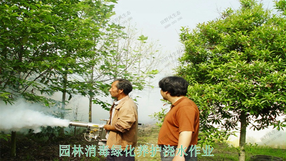 5園林消毒綠化養(yǎng)護澆水作業(yè) 5園林消毒綠化養(yǎng)護澆水作業(yè)