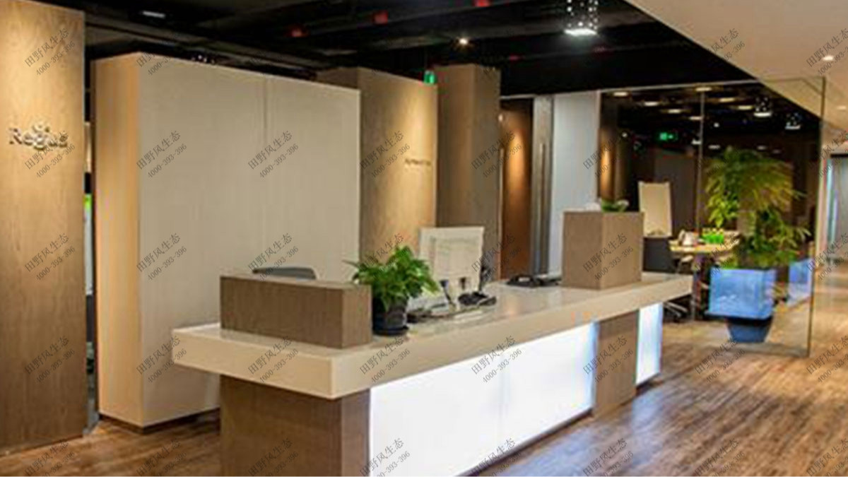 廣州城建大廈辦公室植物租賃案例 廣州城建大廈辦公室植物租賃案例