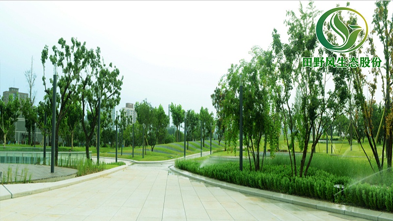 園林綠化，綠植養(yǎng)護(hù)