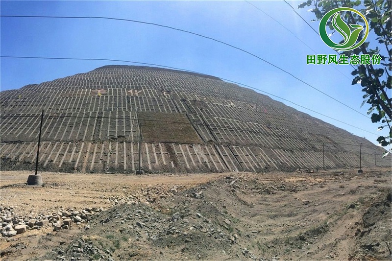 生態(tài)修復(fù)，礦山修復(fù)