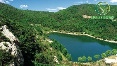 百年礦山生態(tài)修復(fù)，世界銻都“灰袍”換“綠裝”