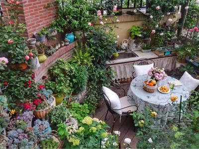 不懼高溫，適合南方種植的七種花卉植物推薦