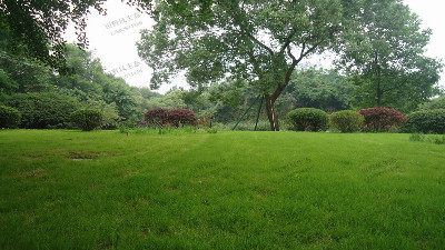 南北方草坪冬季如何養(yǎng)護好？