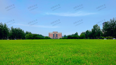 草坪草種子種植如何做到一個月成坪？