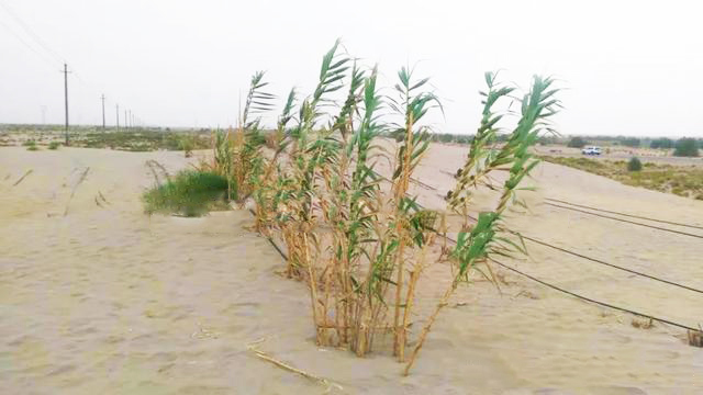 微信圖片_20200715085628 微信圖片_20200715085628