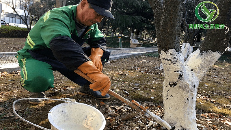 綠化養(yǎng)護(hù),綠植養(yǎng)護(hù) 綠化養(yǎng)護(hù),綠植養(yǎng)護(hù)