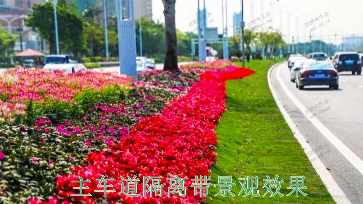 廣東珠海斗門美化綠化市政工程 廣東珠海斗門美化綠化市政工程