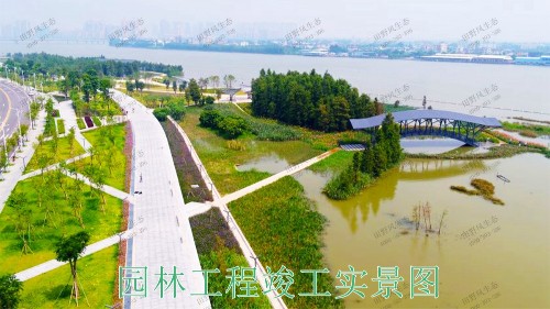 廣東珠海斗門(mén)美化綠化市政工程