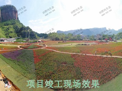 一個花海工程完工需要多長時間？