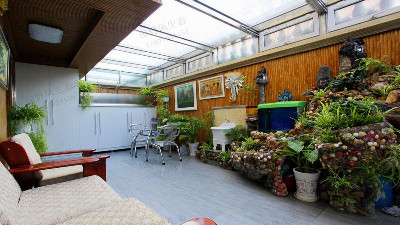 廣州TIT創(chuàng)意園室外植物租賃租擺 廣州TIT創(chuàng)意園室外植物租賃租擺