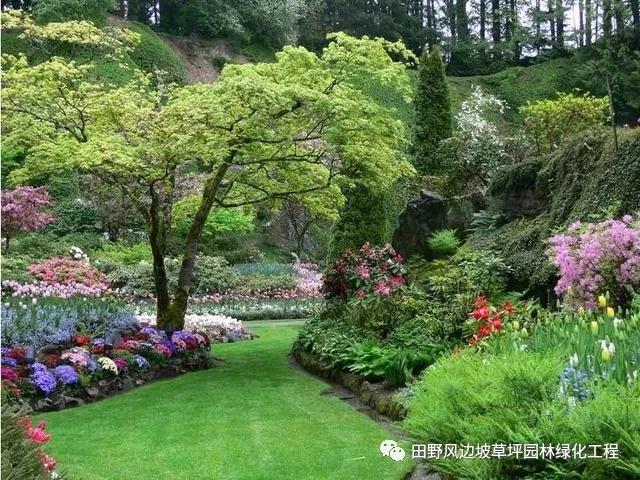 微信圖片_20200527174607 微信圖片_20200527174607