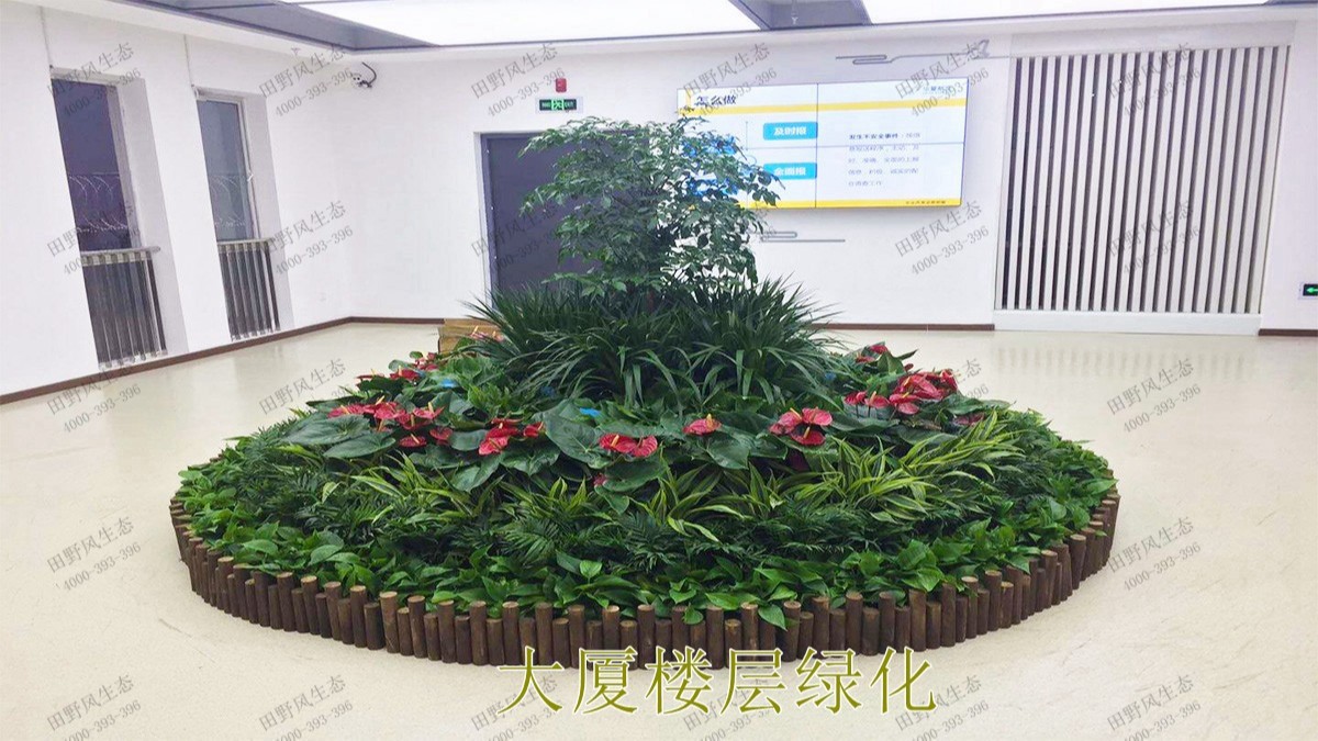 廣州市東泰化工有限公司綠植租賃案例 廣州市東泰化工有限公司綠植租賃案例