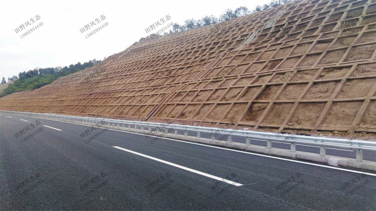汕湛高速普寧段高速公路邊坡植草 汕湛高速普寧段高速公路邊坡植草