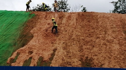 廣東中山火炬新區(qū)道路邊坡復(fù)綠工程 廣東中山火炬新區(qū)道路邊坡復(fù)綠工程