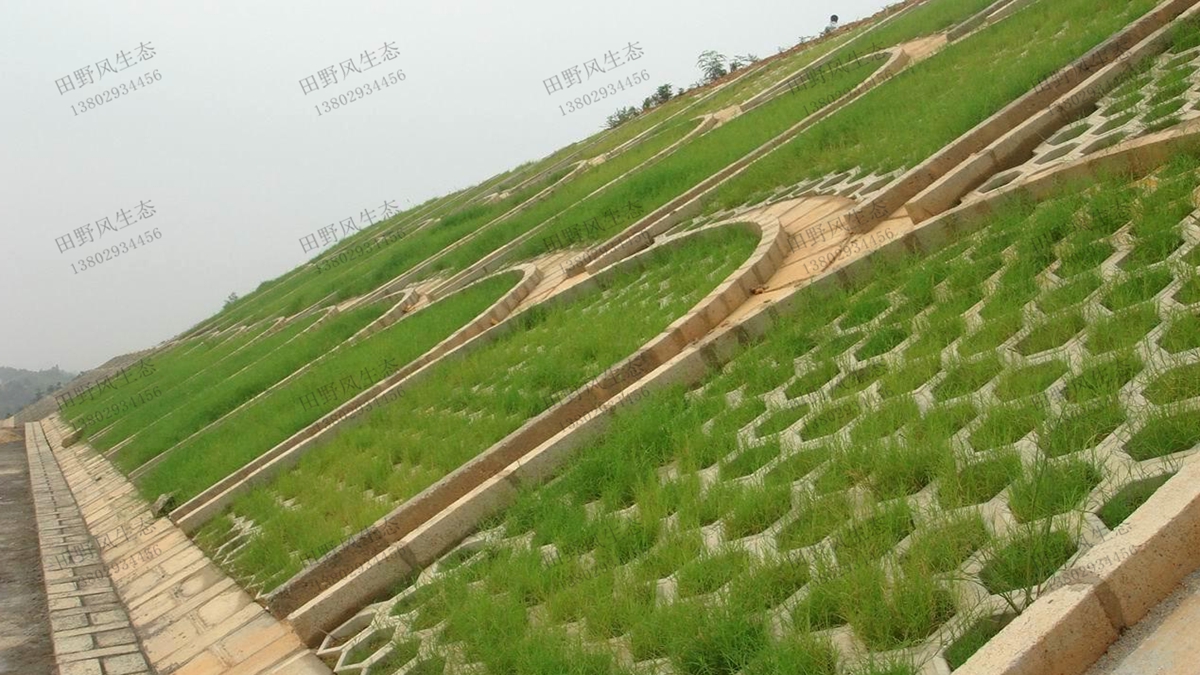 護(hù)坡綠化生態(tài)修復(fù)有哪幾種形式？