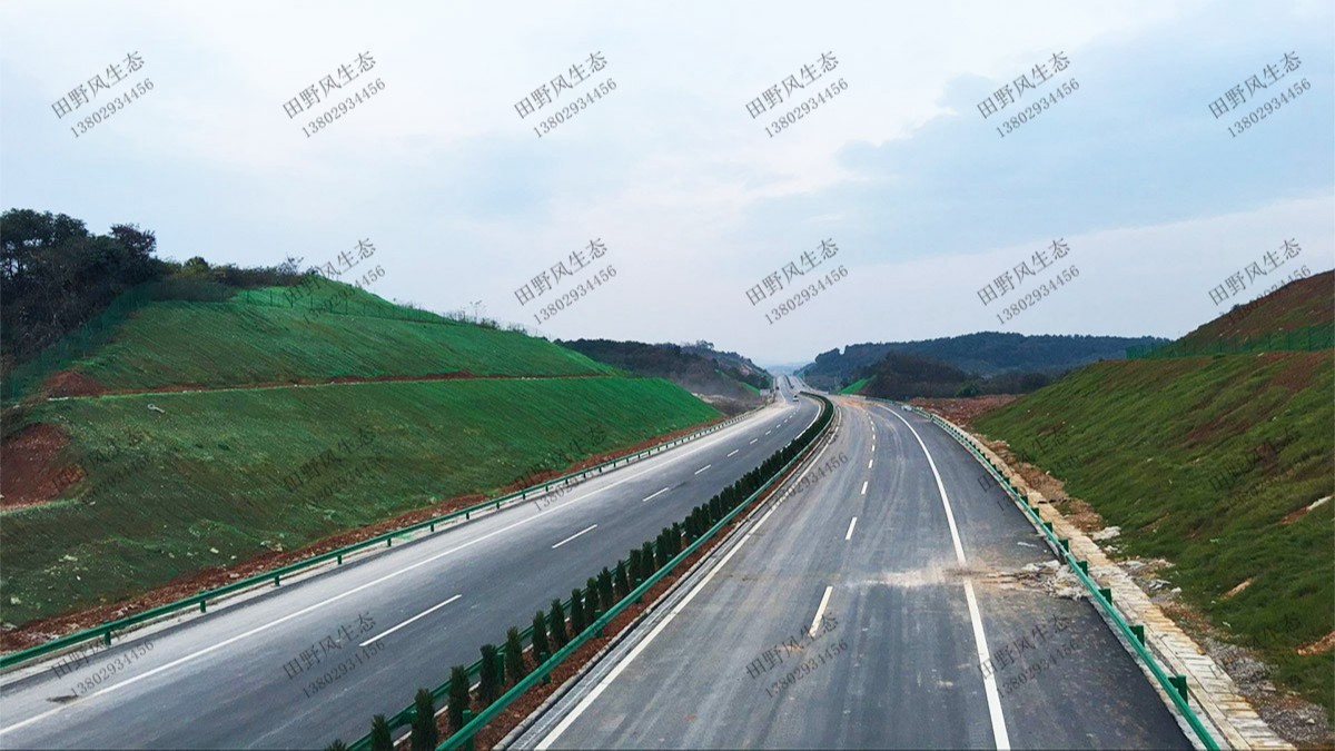 揭惠高速揭陽(yáng)段高速公路邊坡復(fù)綠工程