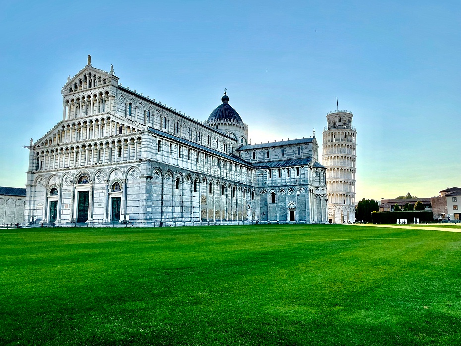 草坪種子 草坪種子