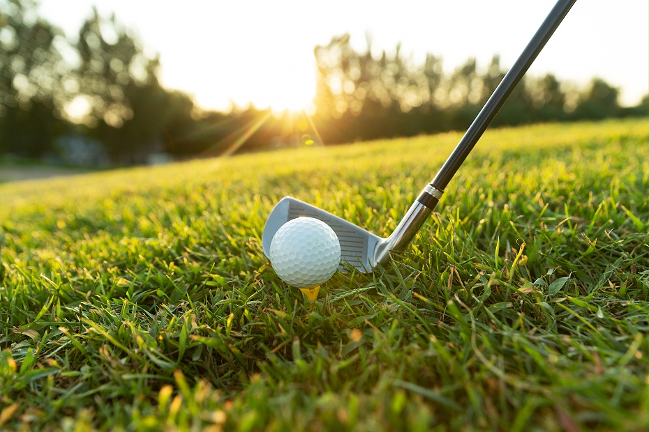 草坪種子 草坪種子