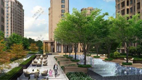 金融中心植物養(yǎng)護解決方案