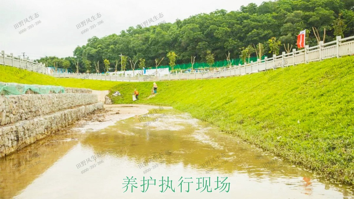 龍勝縣和平河道河堤坡面掛網(wǎng)植草施工 龍勝縣和平河道河堤坡面掛網(wǎng)植草施工