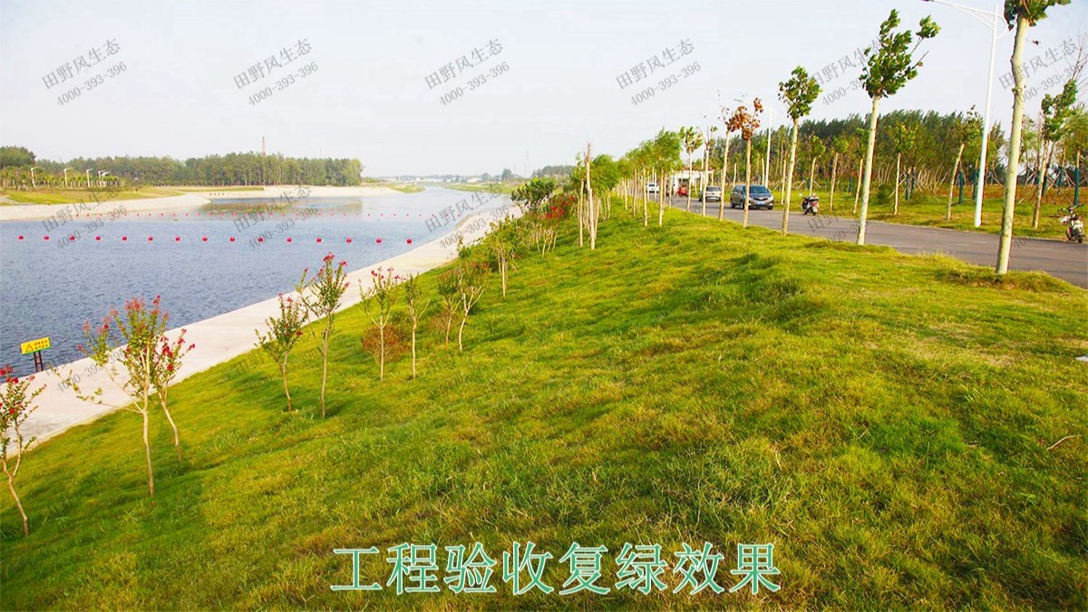 仁化縣董塘河道生態(tài)治理工程 仁化縣董塘河道生態(tài)治理工程