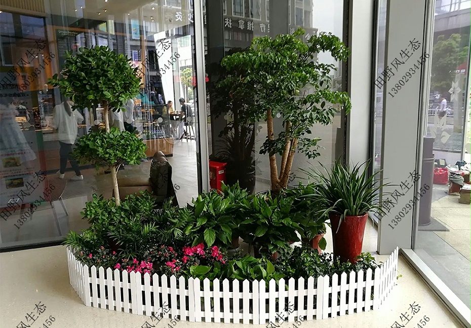 廣州悅和方植物租擺 廣州悅和方植物租擺