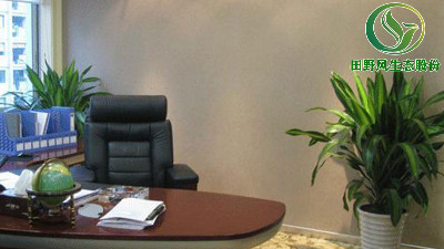 廣州辦公室綠植租擺攻略大全！