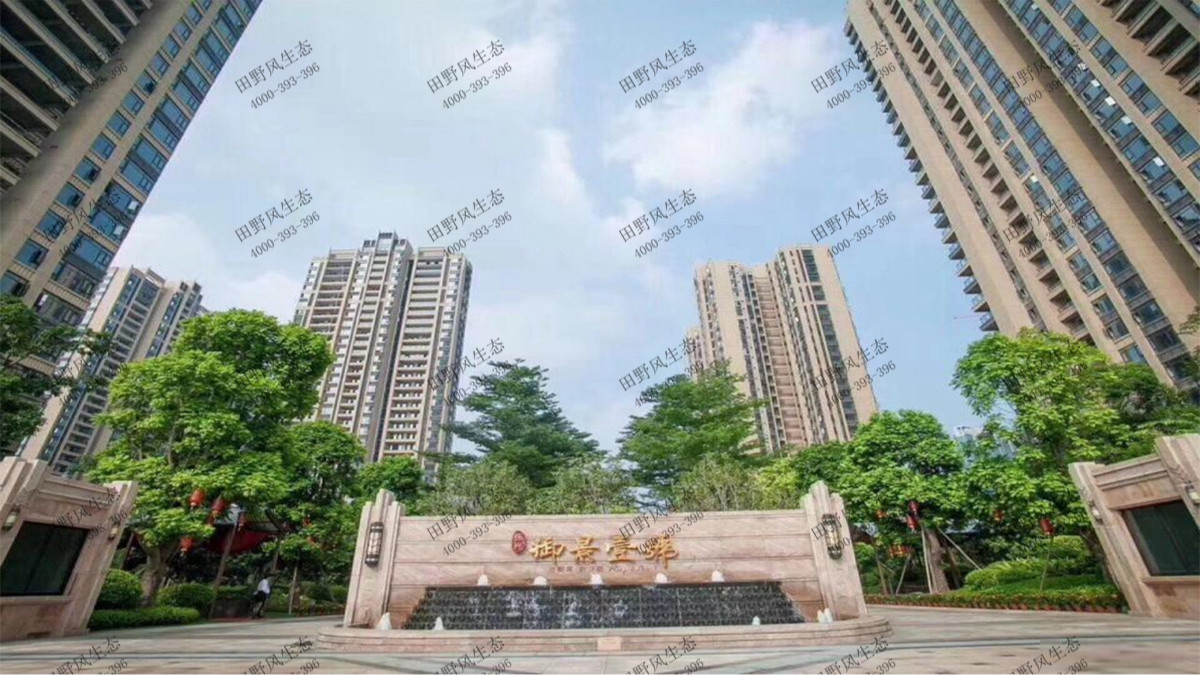 廣東珠光御景壹號小區(qū)綠植養(yǎng)護案例 廣東珠光御景壹號小區(qū)綠植養(yǎng)護案例