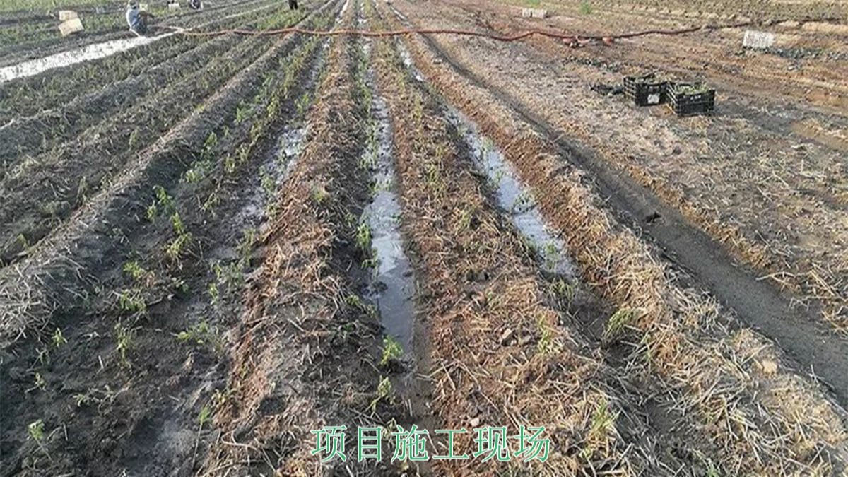 廣西蒙山縣景區(qū)花海工程 廣西蒙山縣景區(qū)花海工程